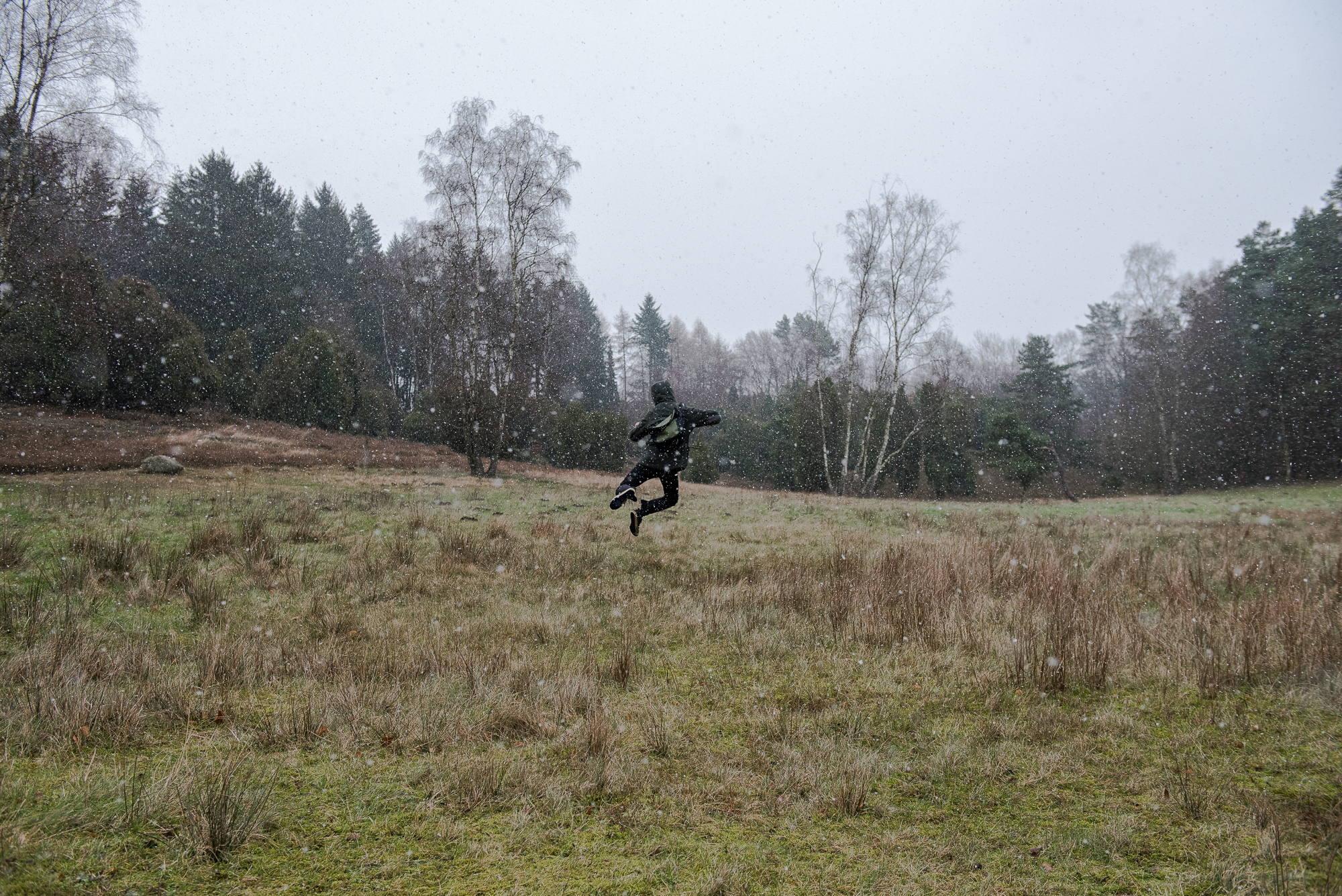 Lüneburger Heide Ausflug