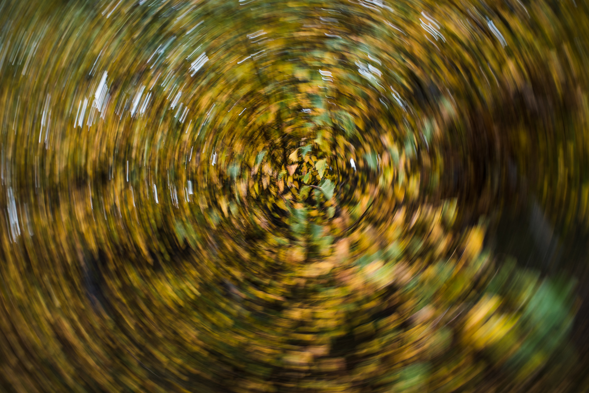 Wind sehen-12