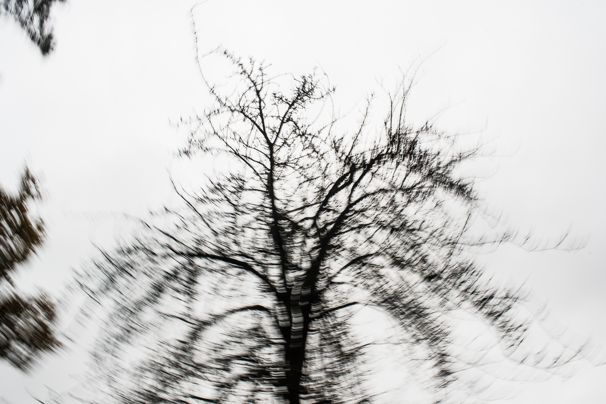 ich sehe wind, ich sehe sehr viel wind ⋆ Martin Koos Fotografie