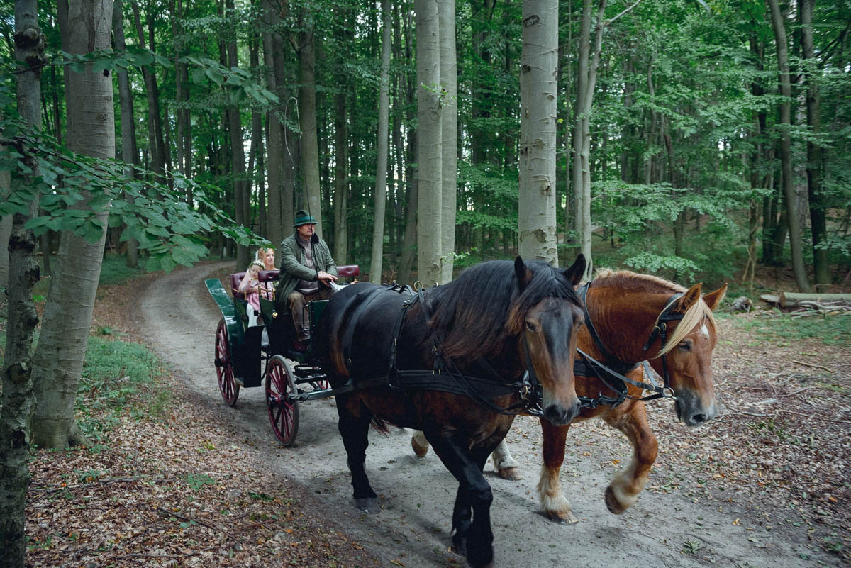 Hochzeit im Boitzenburger Land